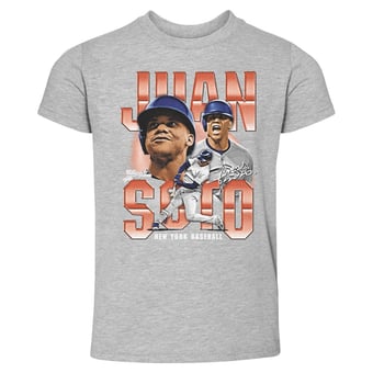Toddler 500 Level Juan Soto Heather Gray Vintage T-Shirt