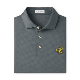 Men's Peter Millar  Gray Iowa Hawkeyes Hugo Performance Jersey Polo