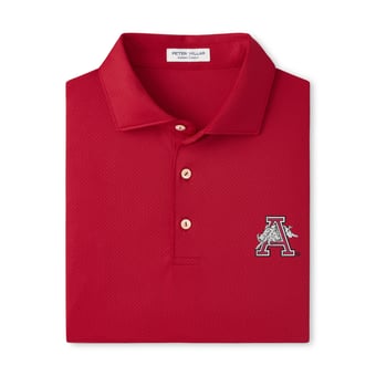 Men's Peter Millar  Cardinal Arkansas Razorbacks Hugo Performance Jersey Polo