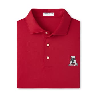 Men's Peter Millar  Crimson Alabama Crimson Tide Hugo Performance Jersey Polo