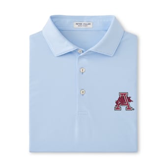 Men's Peter Millar  Light Blue Arkansas Razorbacks Jubilee Performance Jersey Polo
