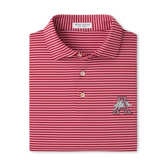 Men's Peter Millar  Cardinal Arkansas Razorbacks Tiebreaker Performance Jersey Stripe Polo