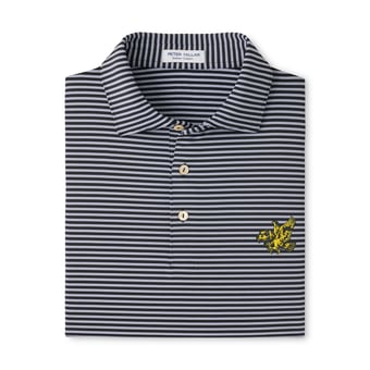 Men's Peter Millar  Black Iowa Hawkeyes Tiebreaker Performance Jersey Stripe Polo