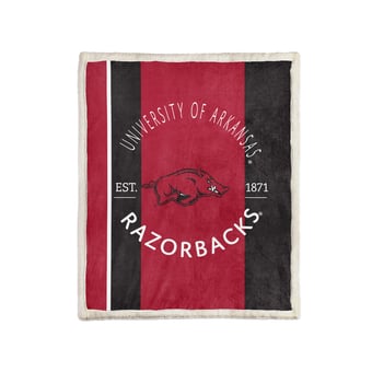 Pegasus Arkansas Razorbacks Block Stripe 50" x 60" Ultra Cozy Sherpa Blanket