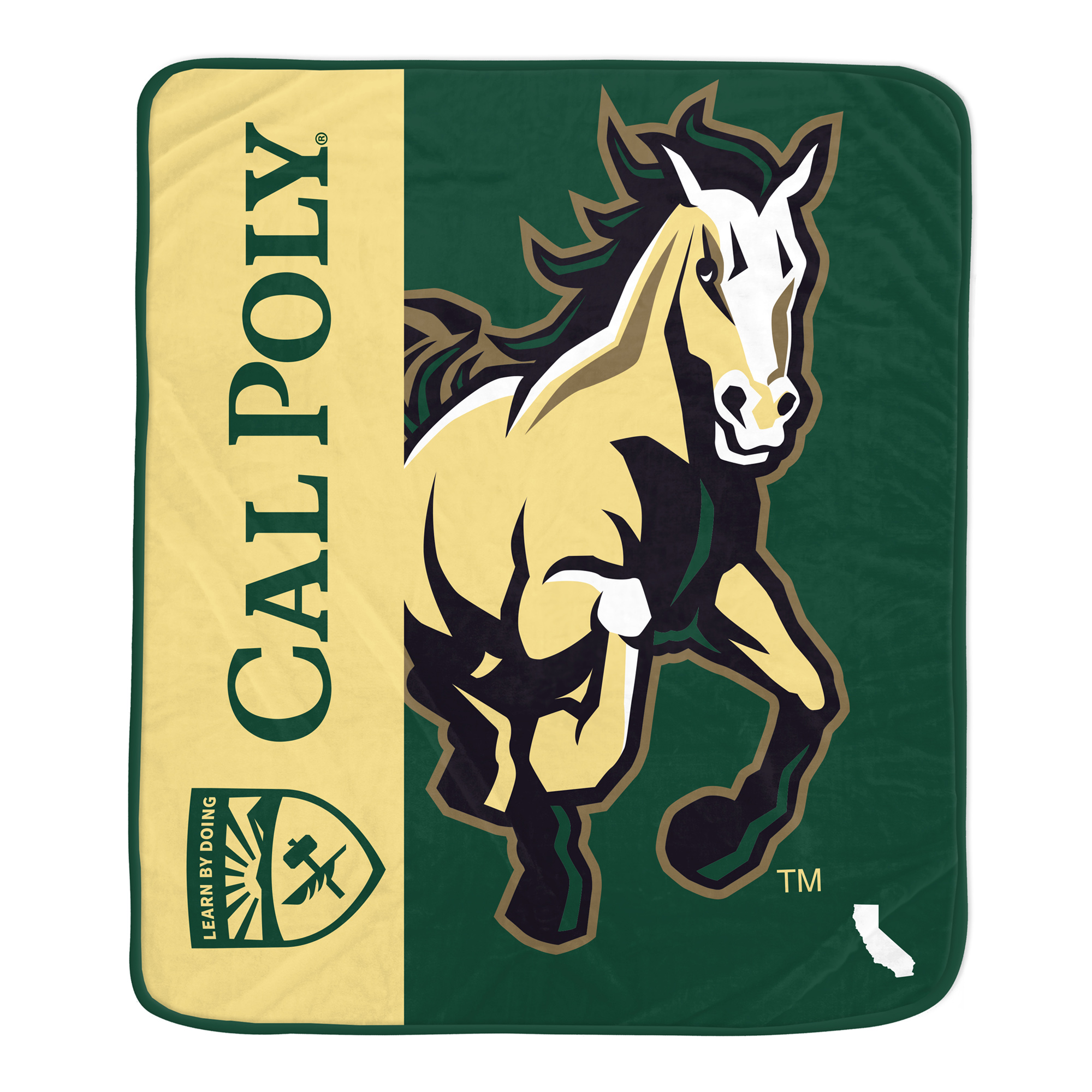 Pegasus Cal Poly Mustangs Endzone 50" x 60" Ultra Soft Throw Blanket