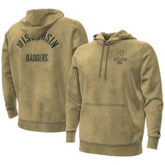 Men's Under Armour Tan Wisconsin Badgers 2026 Freedom Collection Hoodie