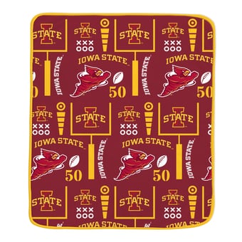 Pegasus Iowa State Cyclones Team Spirit 60" x 70" Ultra Soft Blanket