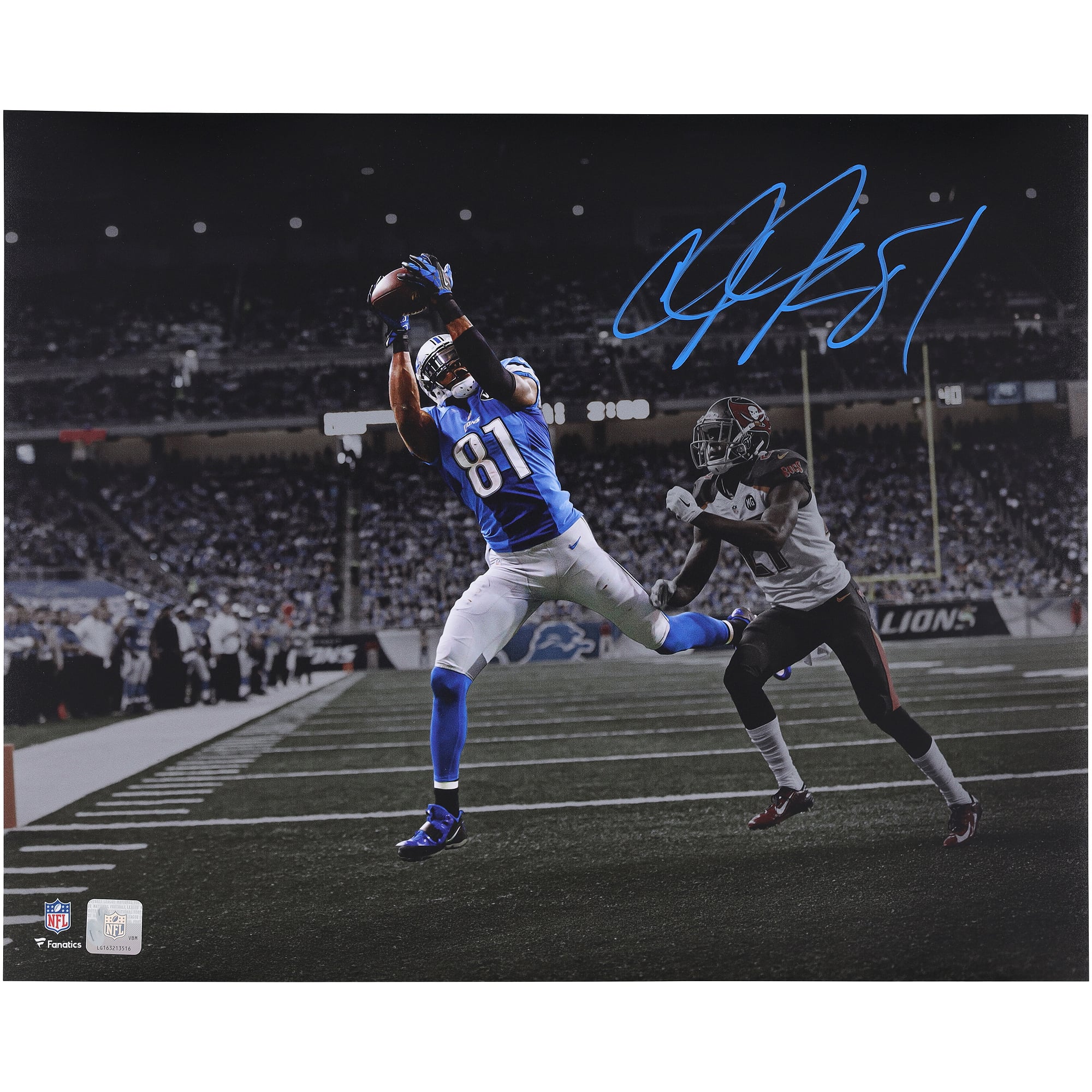 Calvin Johnson Detroit Lions Autographed 16" x 20" Touchdown Catch Spotlight Photograph