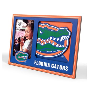 IDNA Florida Gators 3D Logo Series Picture Frame