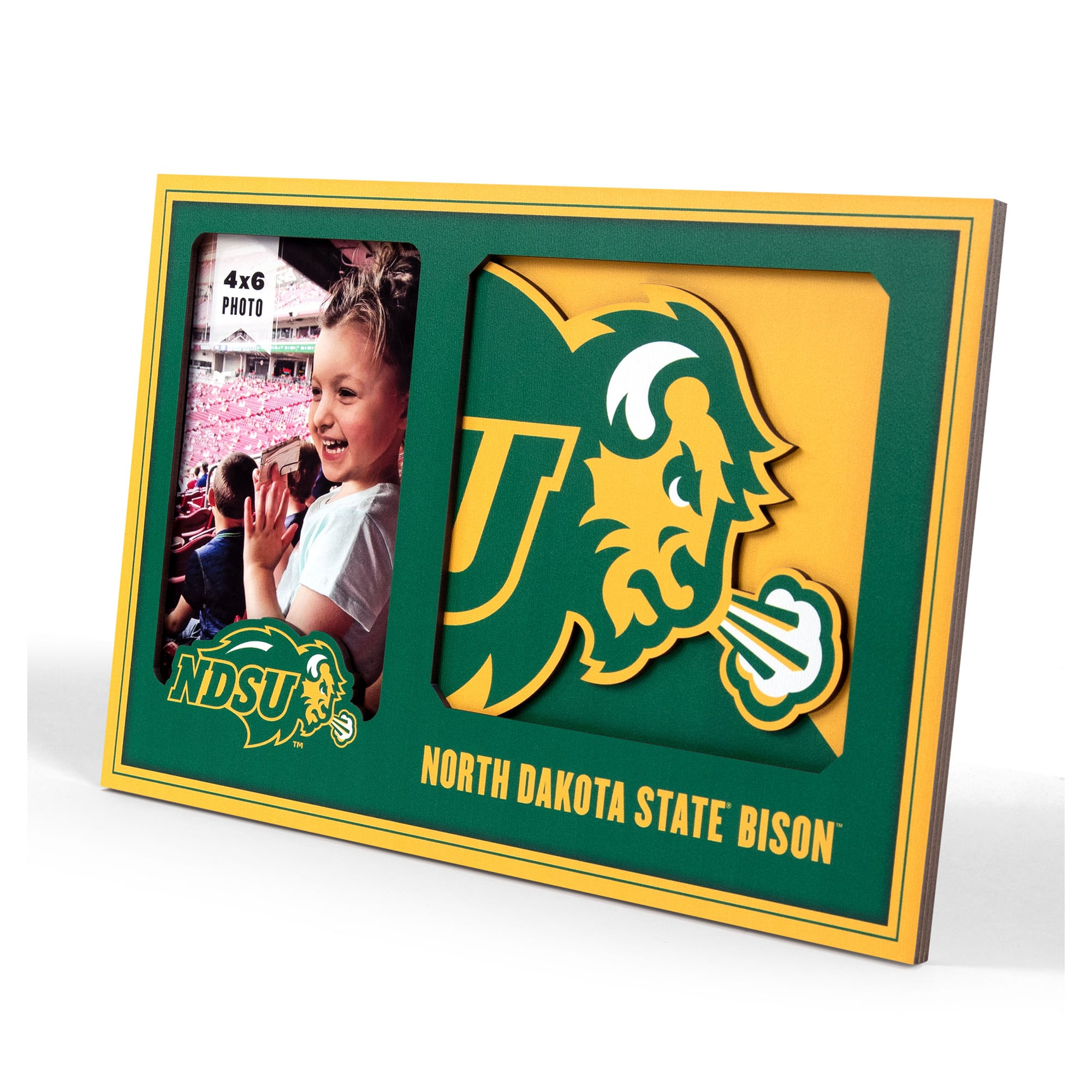 IDNA NDSU Bison 3D Logo Series Picture Frame