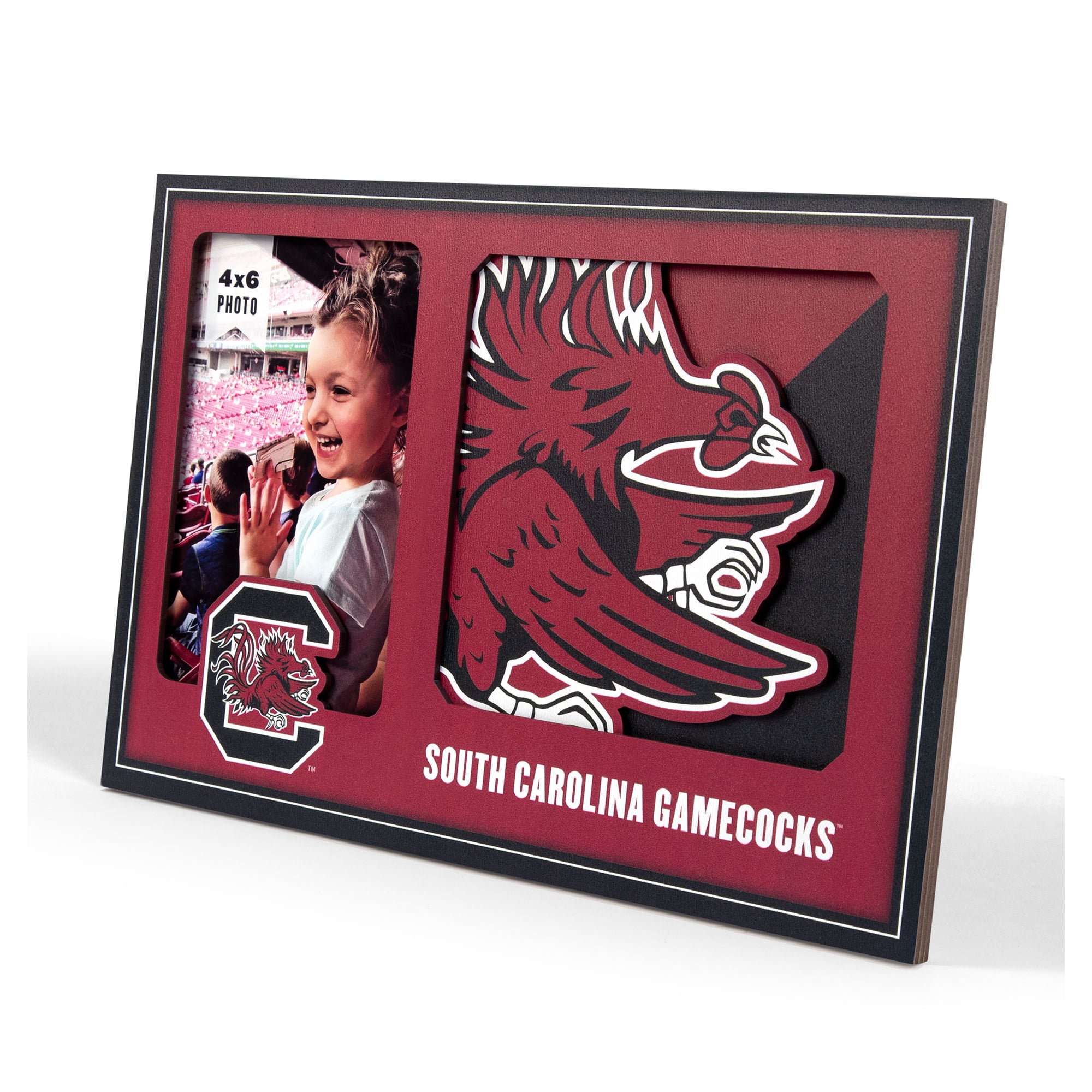 IDNA South Carolina Gamecocks 3D Logo Series Picture Frame
