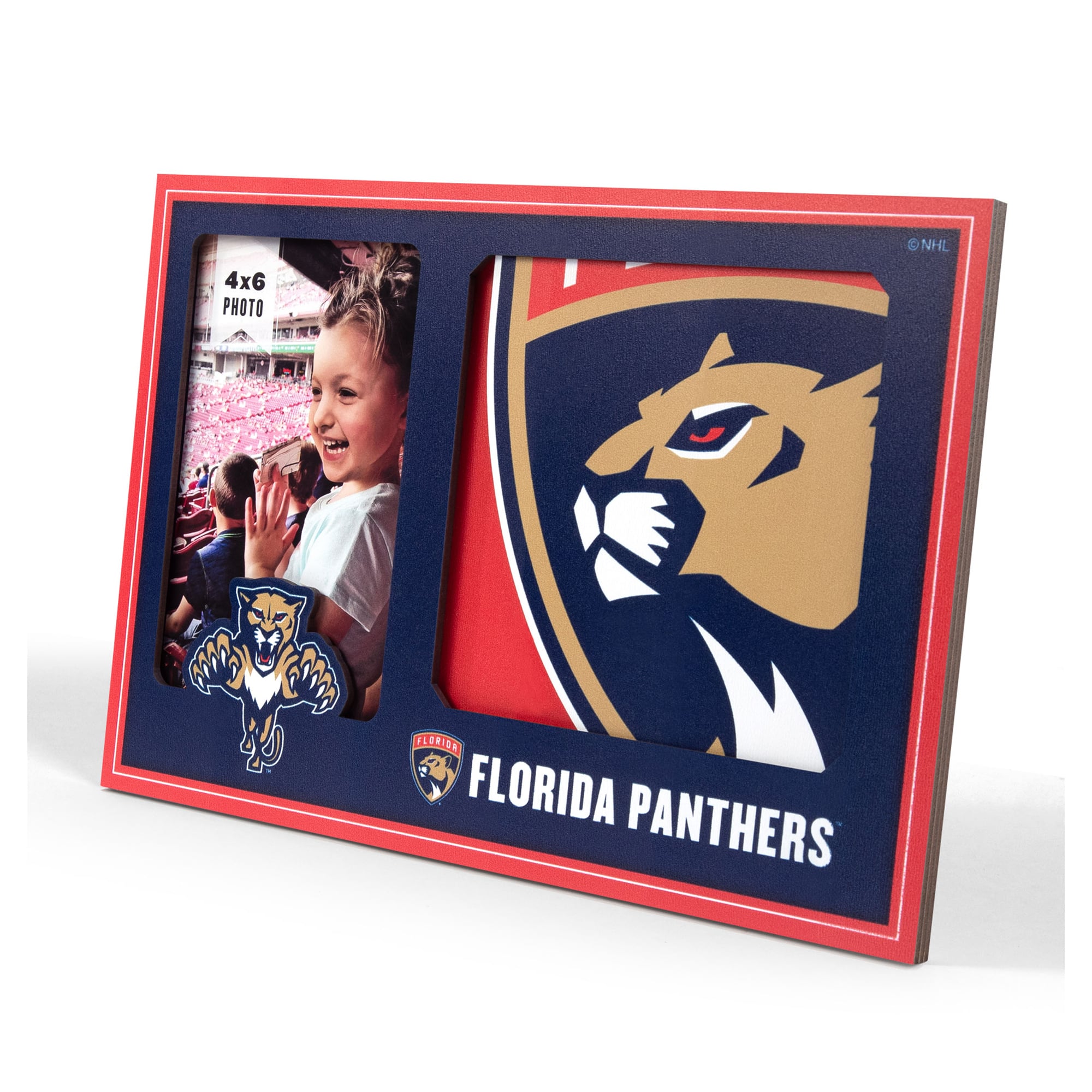 IDNA Florida Panthers 3D Logo Series Picture Frame