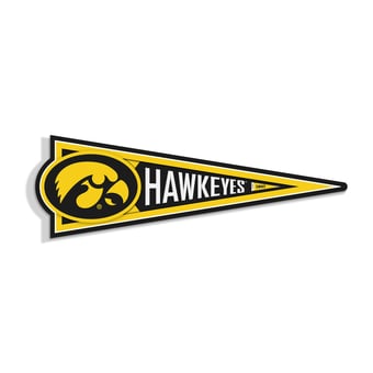 IDNA Iowa Hawkeyes 23" 3D Pennant Wall Art