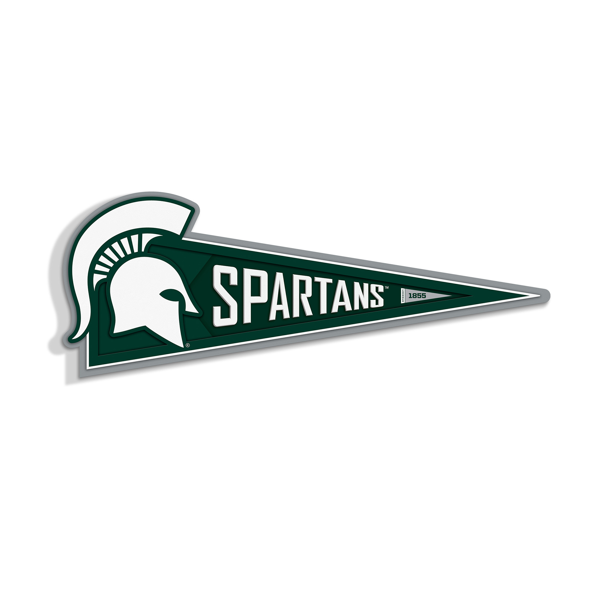 IDNA Michigan State Spartans 23" 3D Pennant Wall Art