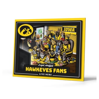 IDNA Iowa Hawkeyes 13.25" x 17.25" Purebred Fans Wall Art