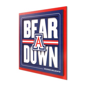 IDNA Arizona Wildcats 12" x 12" Slogan Series 3D Wall Art