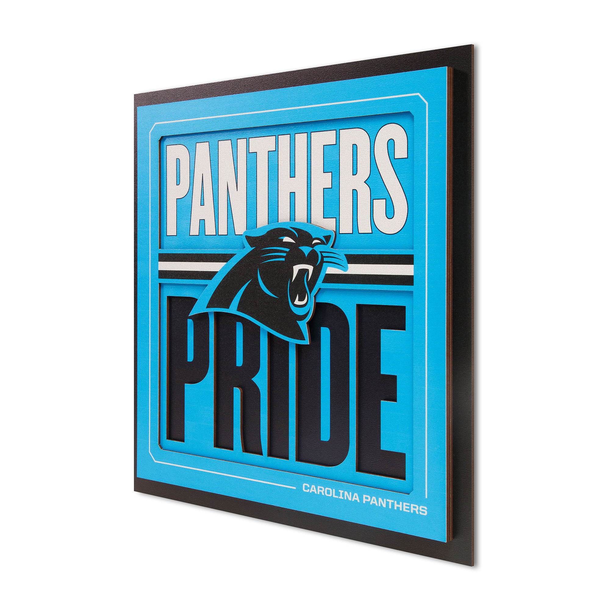 IDNA Carolina Panthers 12" x 12" Slogan Series 3D Wall Art