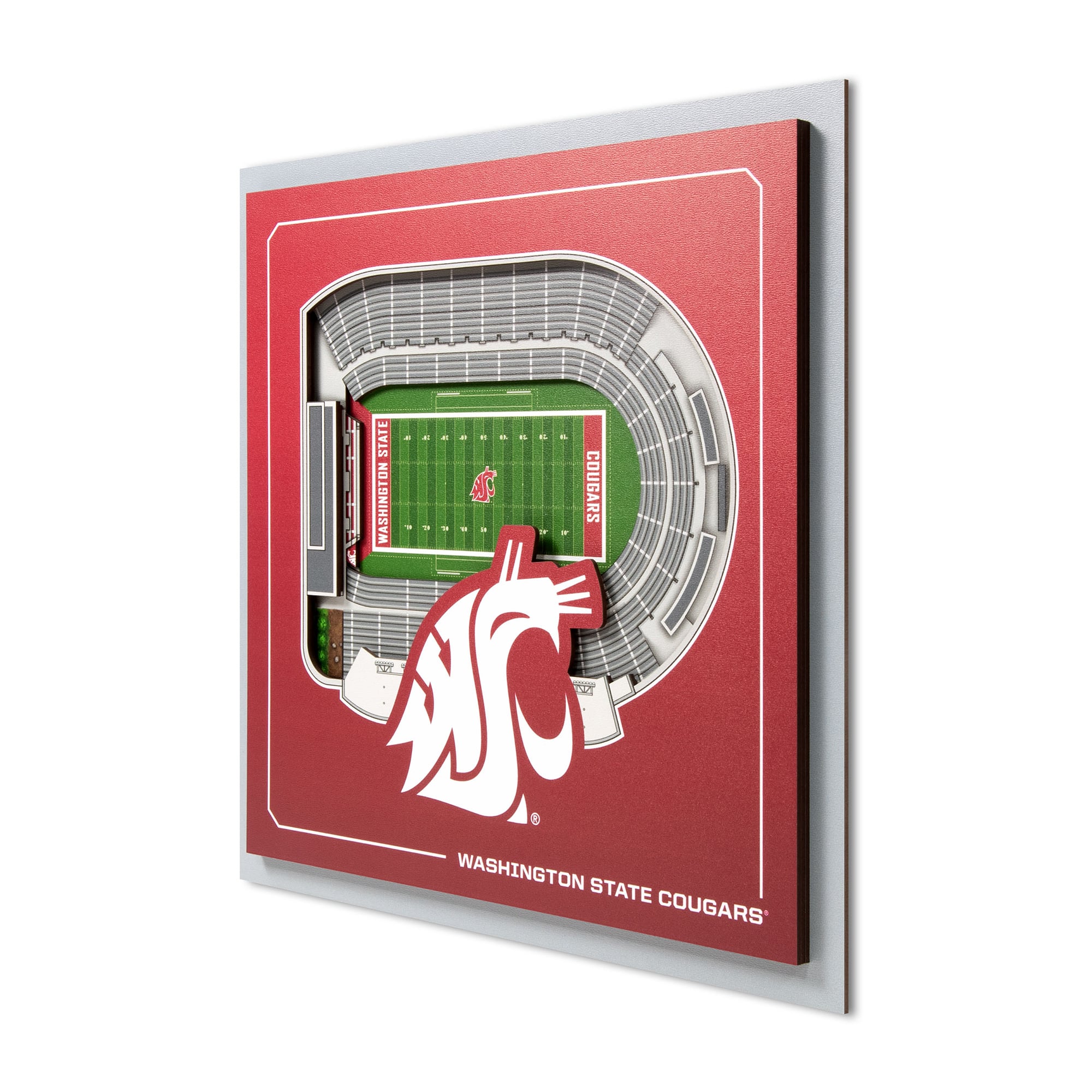 IDNA Washington State Cougars 12" x 12" Stadium Series 3D Wall Art