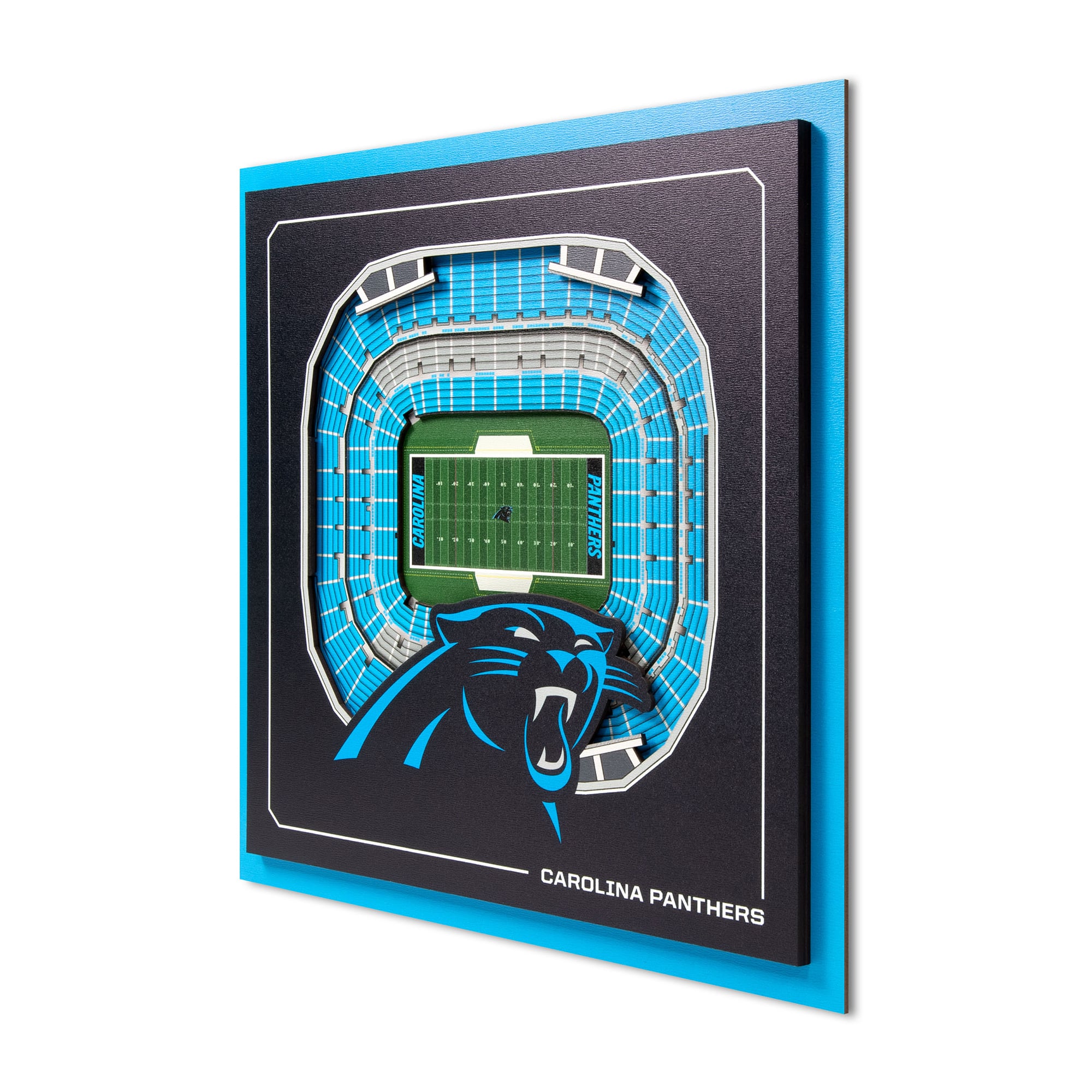 IDNA Carolina Panthers 12" x 12" Stadium Series 3D Wall Art