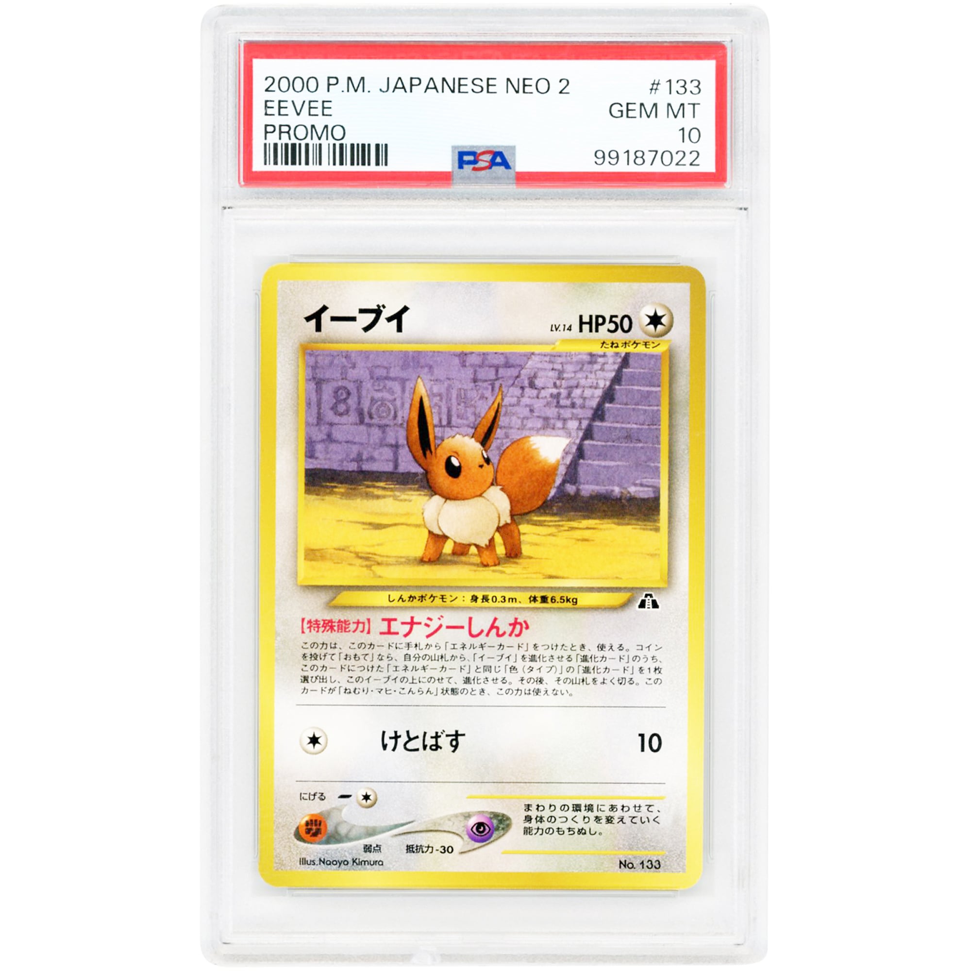 Eevee 2000 Pokemon Neo Premium File 2 Japanese Promo #133 PSA Authenticated 10 Card
