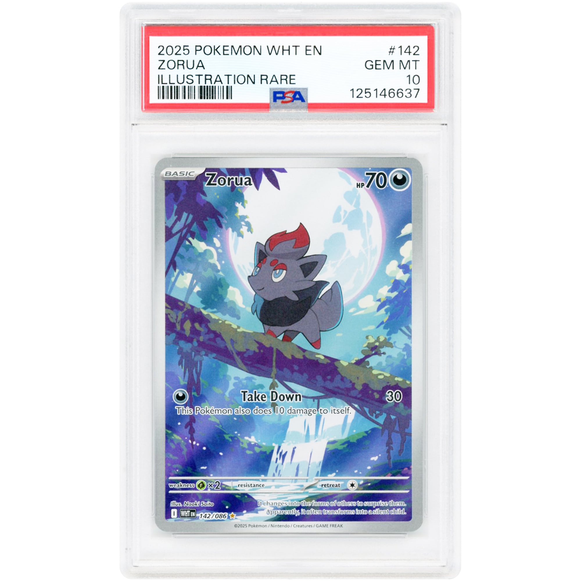 Zorua 2025 Pokemon White Flare Illustration Rare #142 PSA Authenticated 10 Card