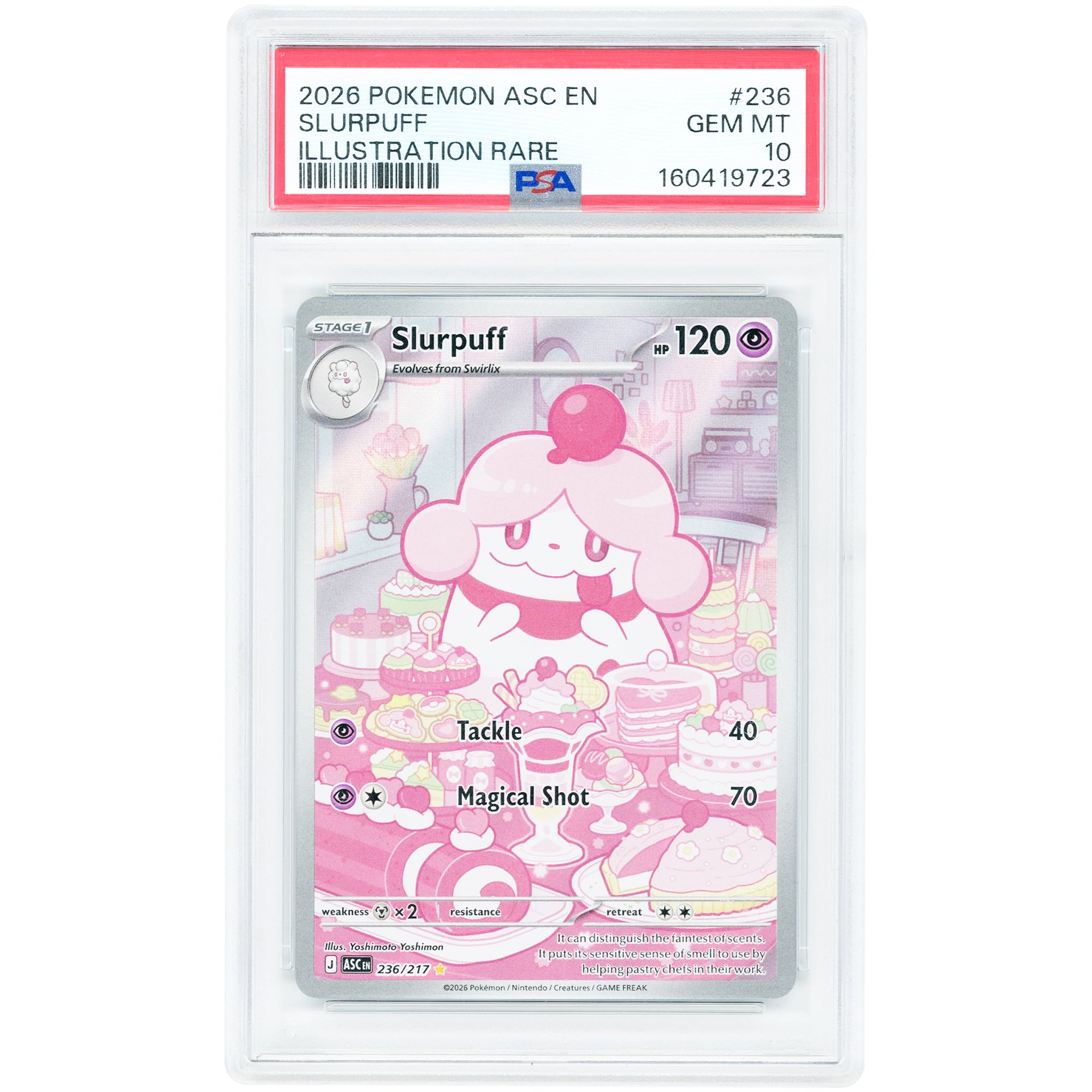 Slurpuff 2026 Pokemon Ascended Heroes Illustration Rare #236 PSA Authenticated 10 Card