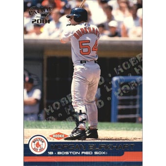 2001 Pacific Hobby LTD #455 Morgan Burkhart