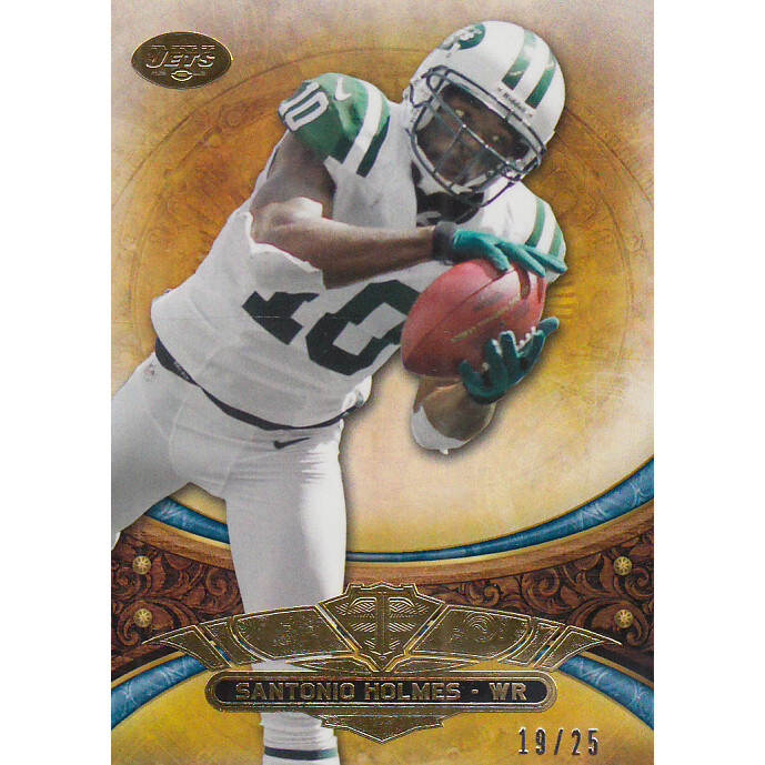 2013 Topps Triple Threads Sapphire #23 Santonio Holmes