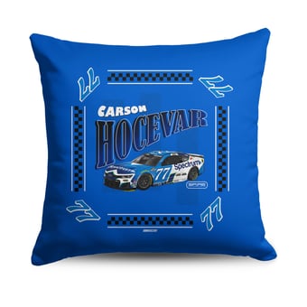 The Northwest Group Carson Hocevar Whimsical Checks 18" x 18" Throw Pillow