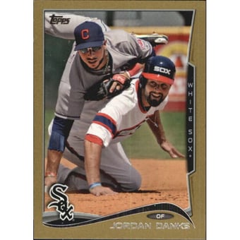 2014 Topps Mini Gold #649 Jordan Danks