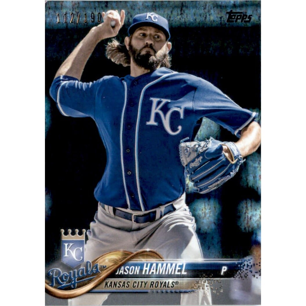 2018 Topps Factory Set Foilboard #385 Jason Hammel. rookie card picture