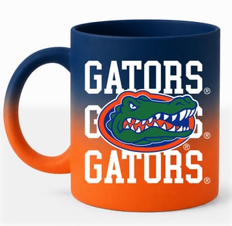 Pegasus Florida Gators 16oz. Echo Fade Soft Touch Ceramic Mug