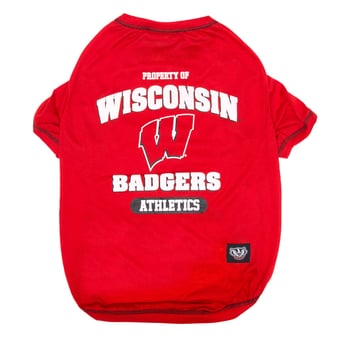 Wisconsin Badgers Pet Merchandise
