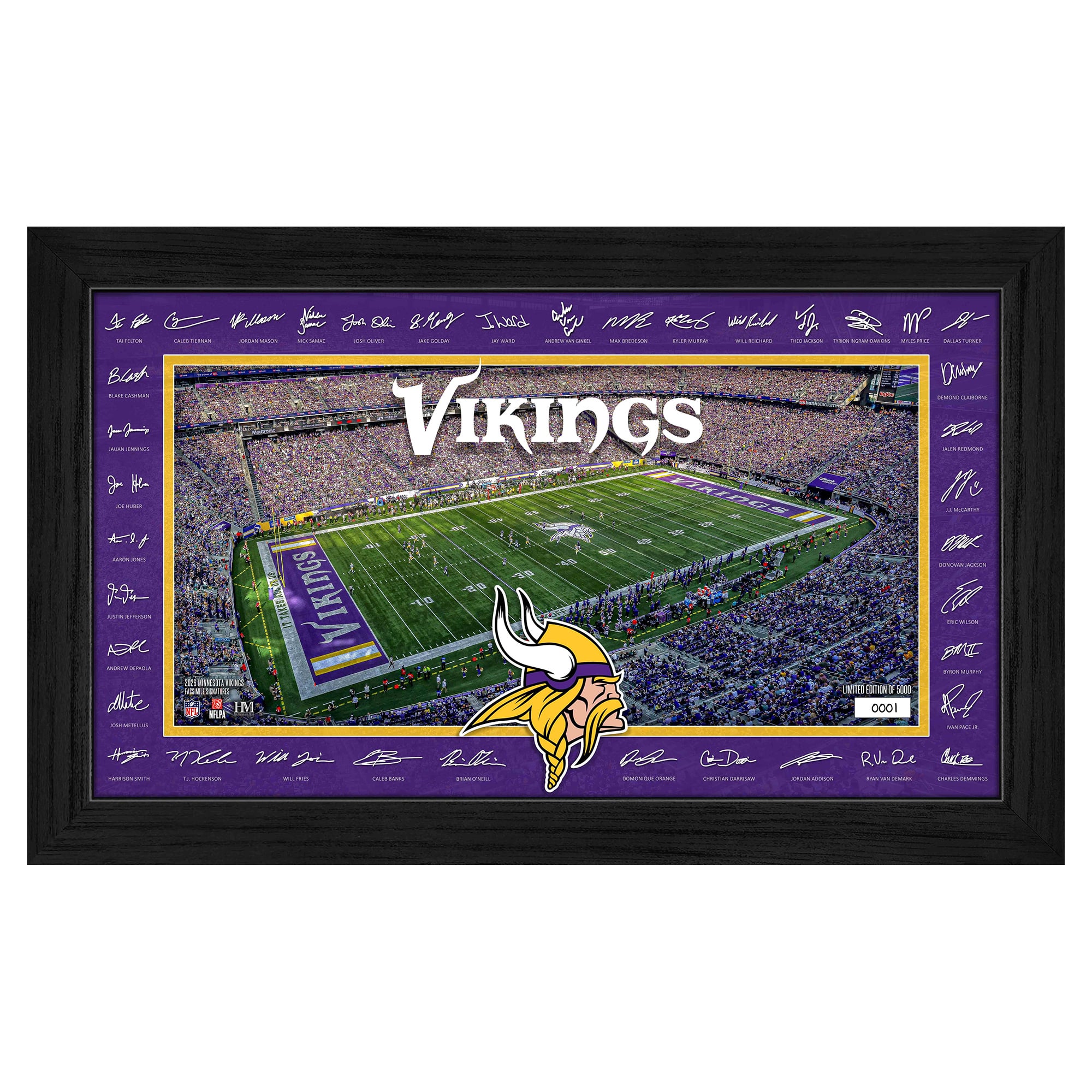 Highland Mint Minnesota Vikings 12" x 20" 2026 Signature Gridiron Panoramic Framed Photo