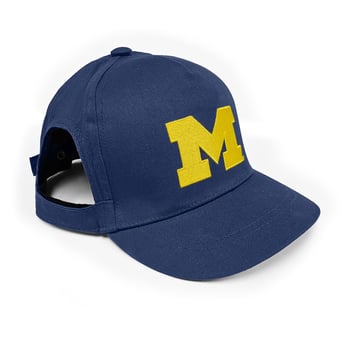 Michigan Wolverines Pet Merchandise