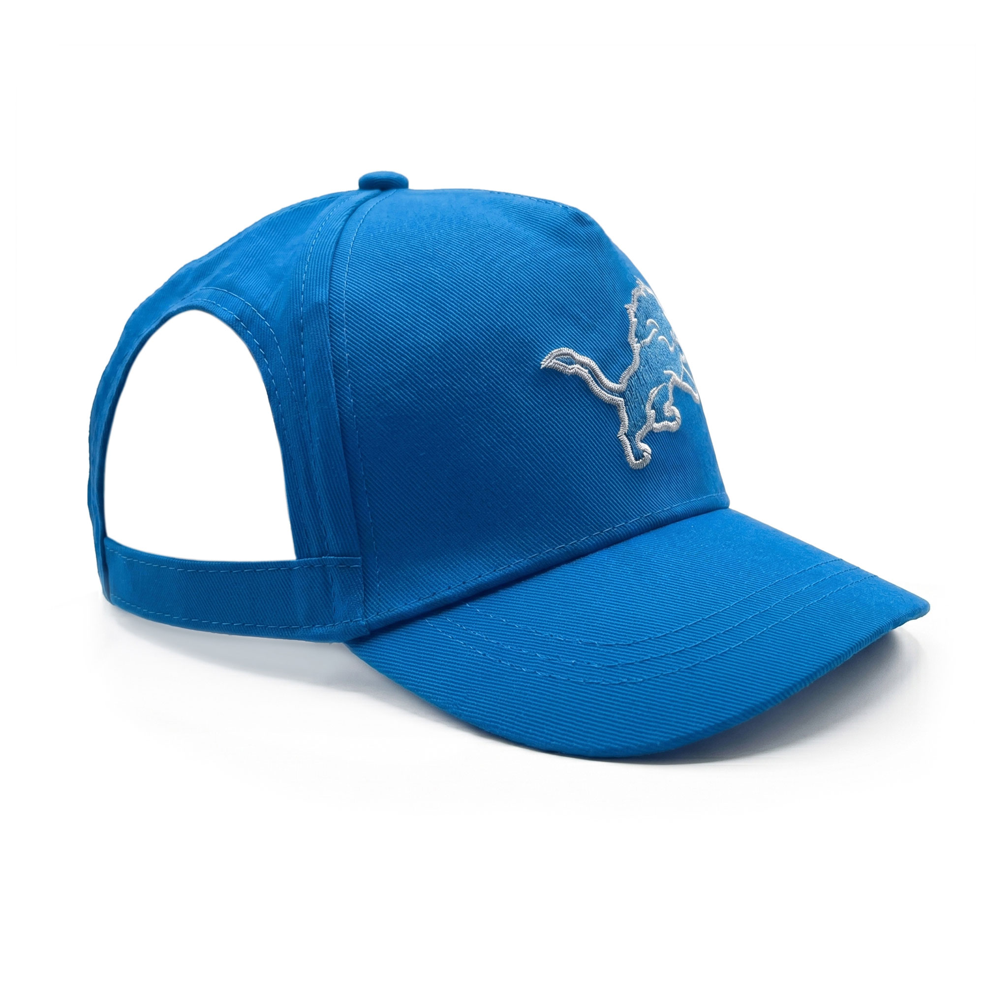 Detroit Lions Adjustable Pet Hat