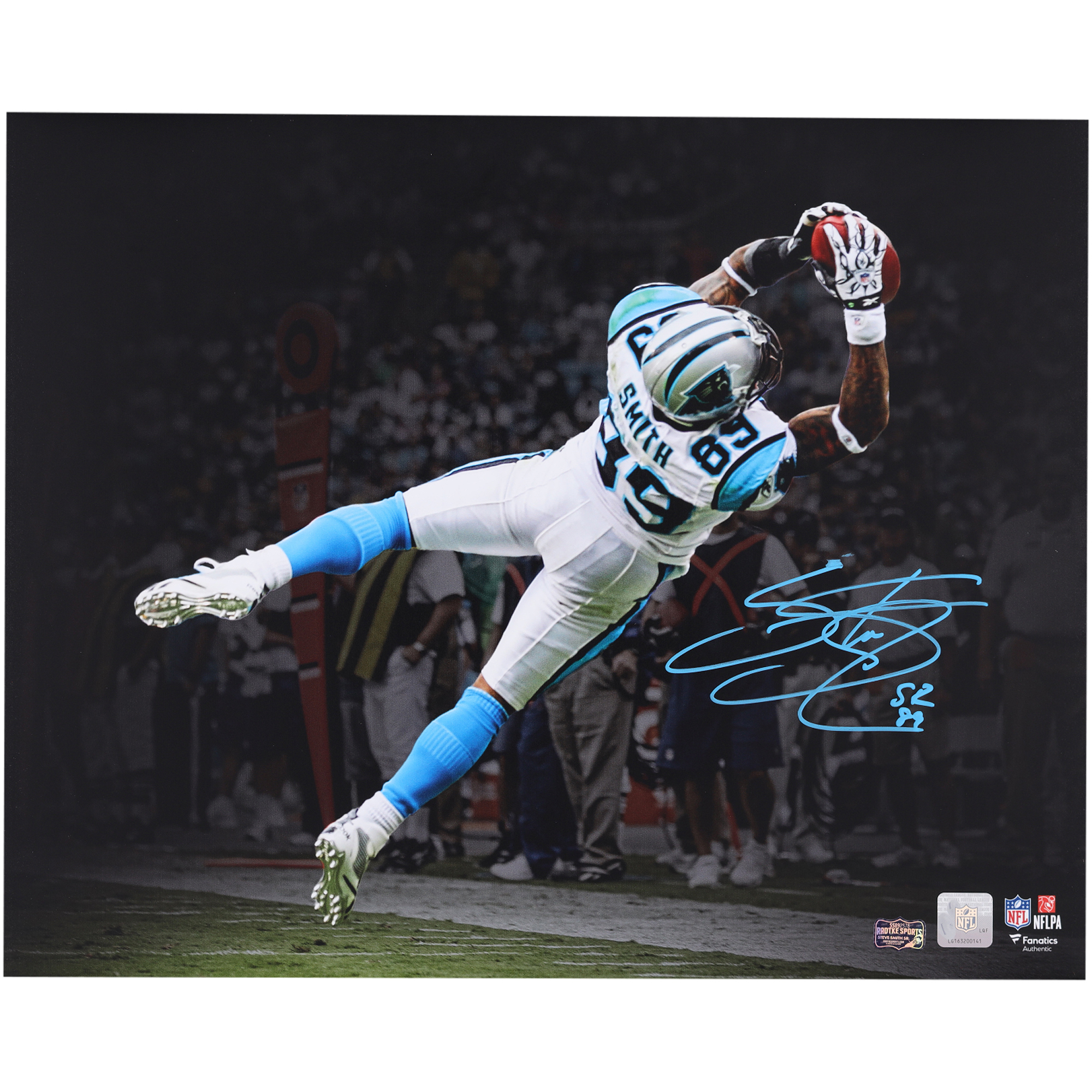 Steve Smith Carolina Panthers Autographed 16" x 20" Diving Catch Spotlight Photograph