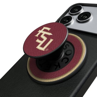 Florida State Seminoles Accessories