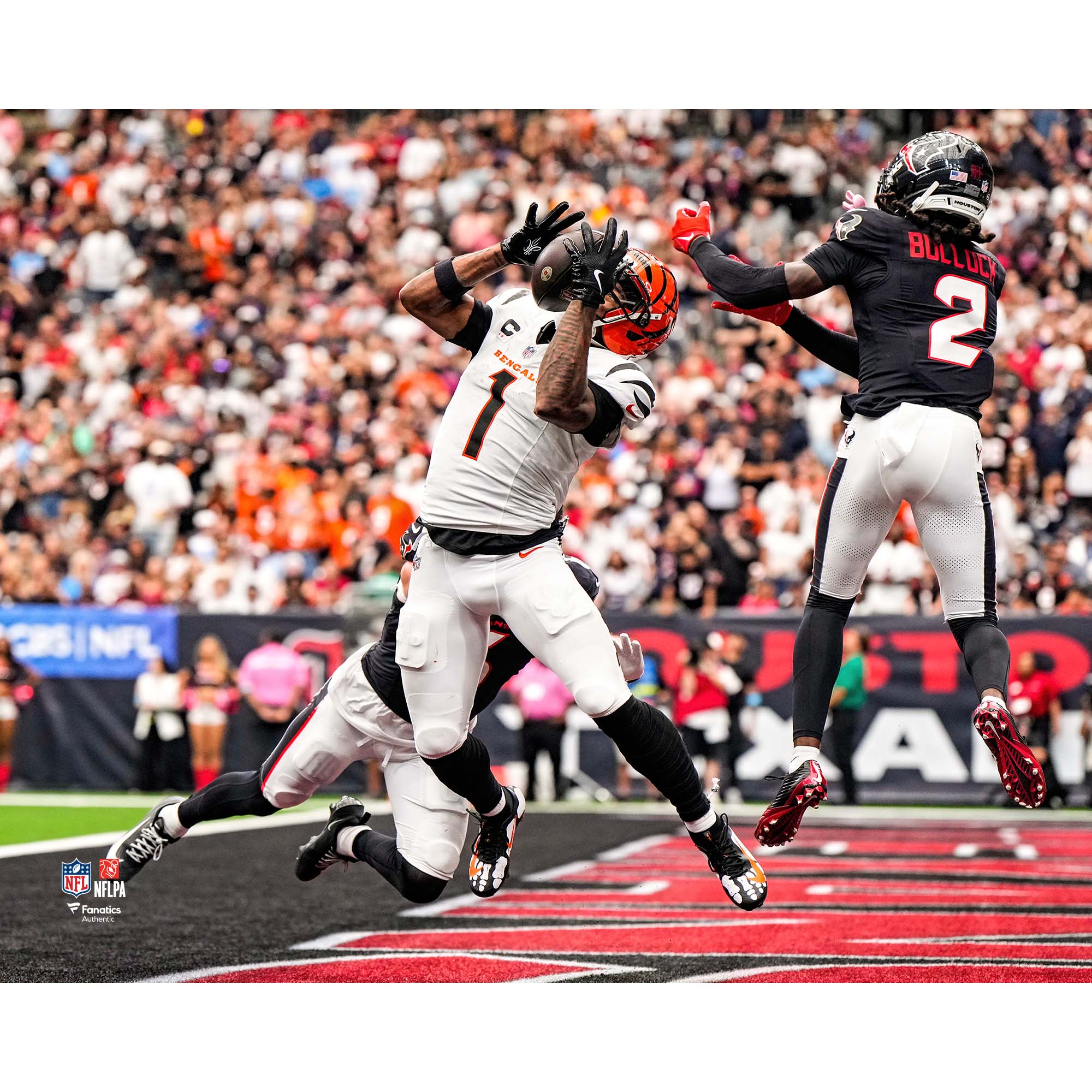 Ja'Marr Chase Cincinnati Bengals Unsigned 2026 Week 2 Touchdown Catch vs. Houston Texans Photograph