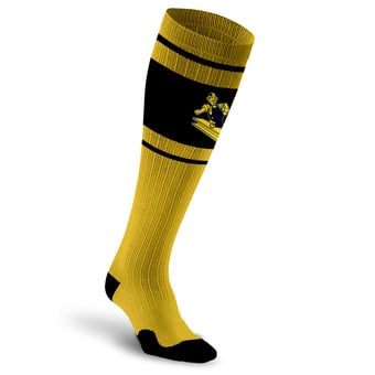 Pittsburgh Steelers Socks