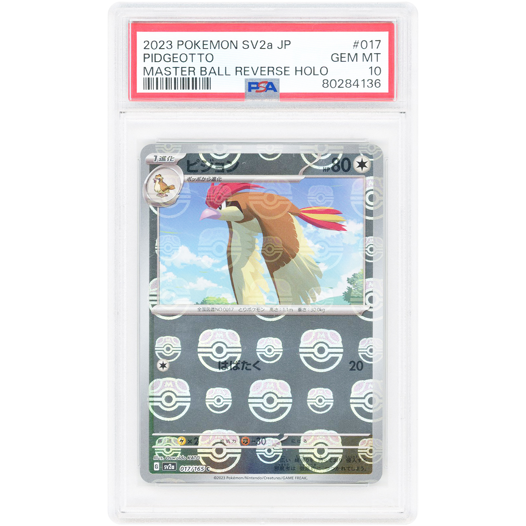 Pidgeotto 2023 Pokemon 151 Japanese Master Ball Reverse Holo #17 PSA Authenticated 10 Card