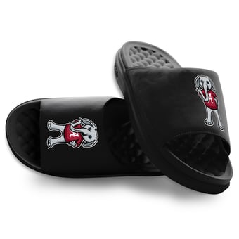 Unisex ISlide Black Alabama Crimson Tide Mascot Motive Slide Sandals