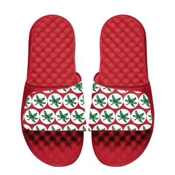 Youth ISlide Scarlet Ohio State Buckeyes Buckeye Leaf Slide Sandals