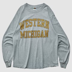 Western Michigan Broncos Fruit of the Loom 2000s Long Sleeve T-shirt - Heather Gray - M by Fanatics Real Vintage