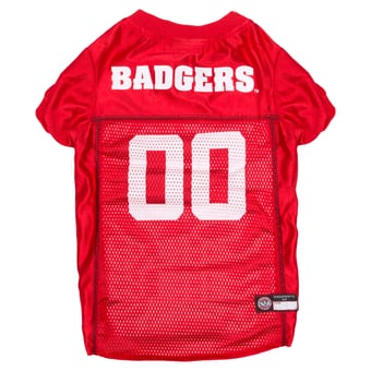 Wisconsin Badgers Mesh Dog Football Jersey