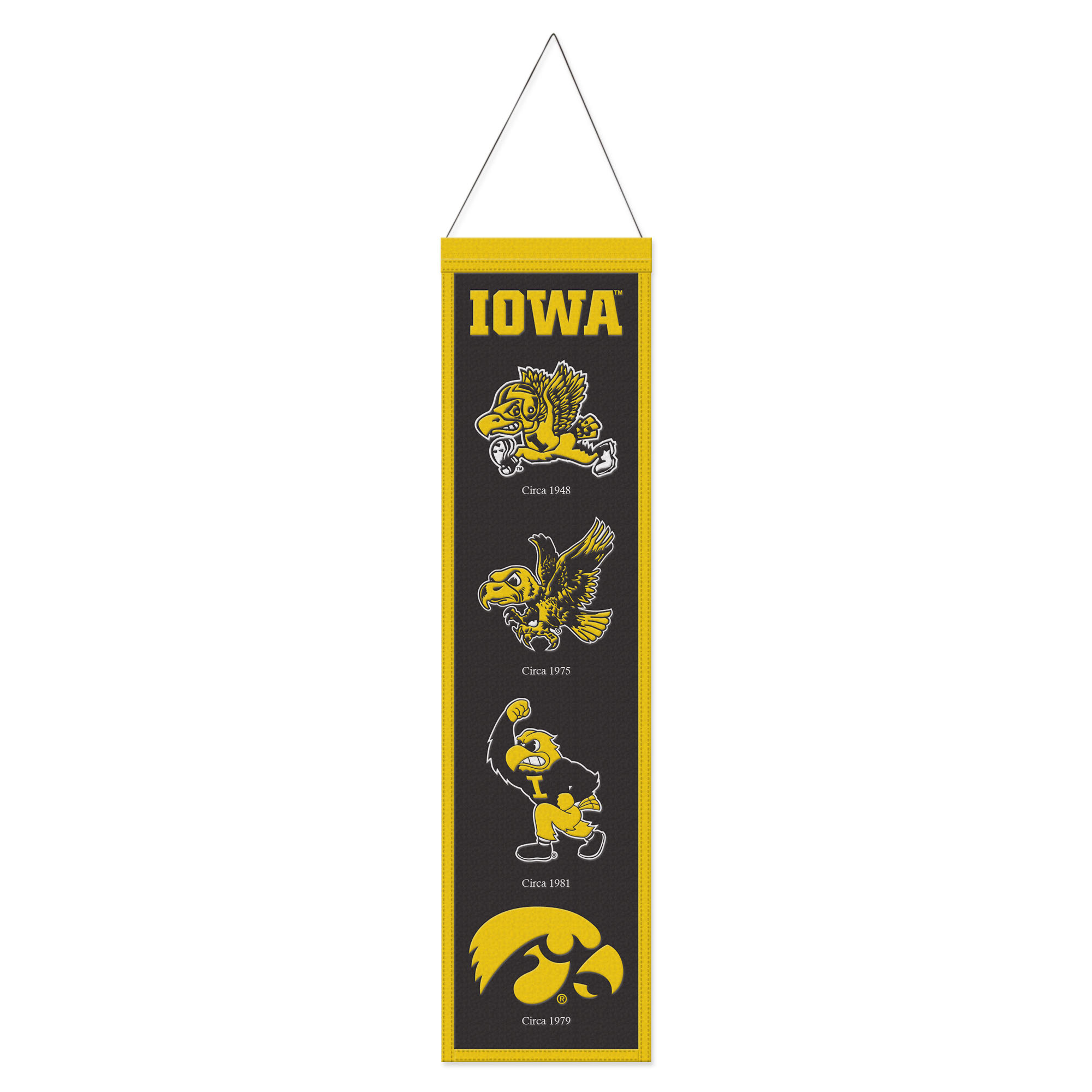WinCraft Iowa Hawkeyes 8" x 32" Evolution Banner