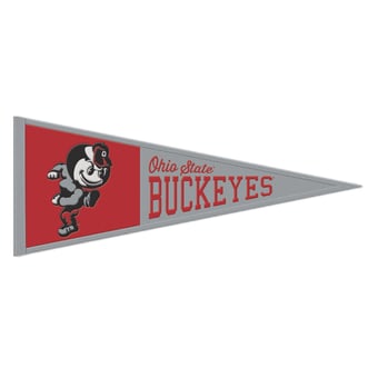 "WinCraft Ohio State Buckeyes 13"" x 32"" Retro Logo Pennant"