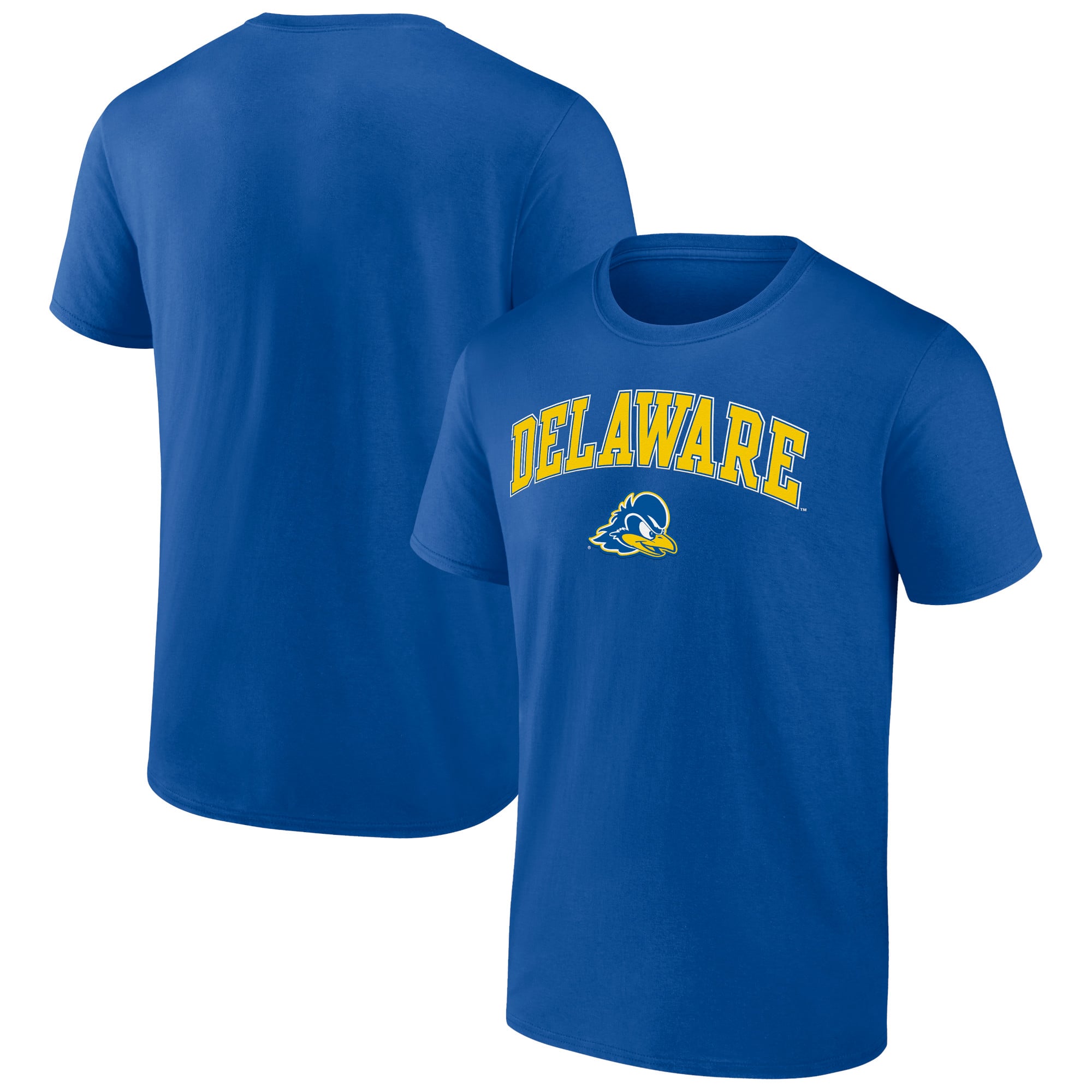 Men's Royal Delaware Fightin' Blue Hens Campus Team T-Shirt