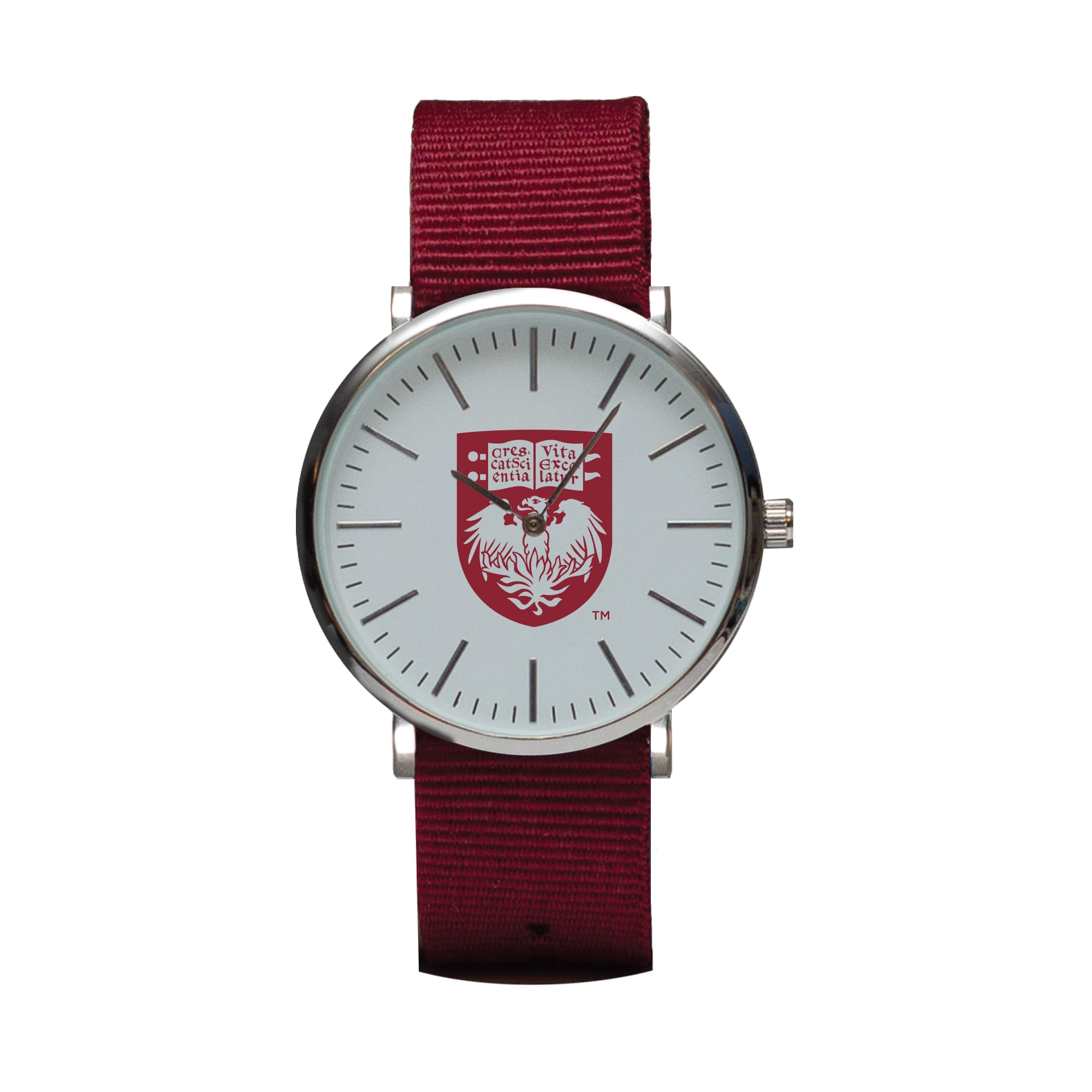 Maroon UChicago Maroons Stitch Nylon Strap Watch
