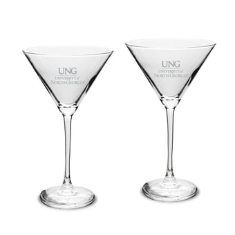 North Georgia Nighthawks Two-Piece Traditional 10oz. Martini Glass Set